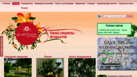 What Floristua.com.ua website looked like in 2014 (9 years ago)