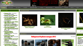 What Fotopage.ru website looked like in 2014 (9 years ago)