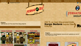 What Ferhatoglu.com website looked like in 2014 (9 years ago)
