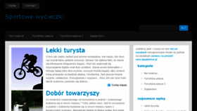 What Feelsport.pl website looked like in 2014 (9 years ago)