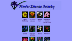 What Flowersociety.org website looked like in 2015 (9 years ago)