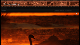 What Foto-ptaki.pl website looked like in 2015 (11 years ago)