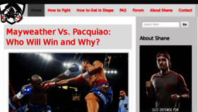 What Fighttips.com website looked like in 2015 (8 years ago)