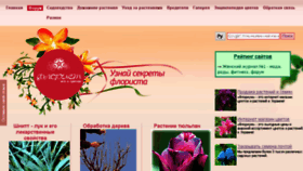 What Floristua.com.ua website looked like in 2015 (8 years ago)