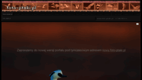What Foto-ptaki.pl website looked like in 2016 (10 years ago)