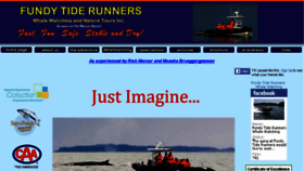What Fundytiderunners.com website looked like in 2016 (7 years ago)