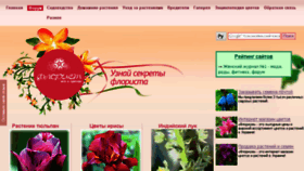 What Floristua.com.ua website looked like in 2016 (7 years ago)