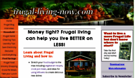 What Frugal-living-now.com website looked like in 2016 (7 years ago)