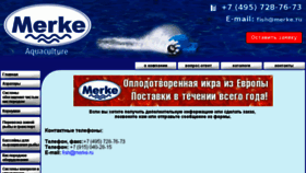 What Fishtechnics.ru website looked like in 2017 (7 years ago)