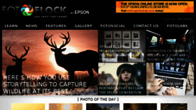 What Fotoflock.com website looked like in 2017 (7 years ago)