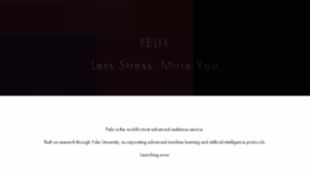 What Felix.com website looked like in 2017 (7 years ago)