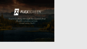 What Flexscreen.net website looked like in 2017 (8 years ago)