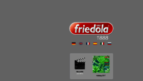 What Friedola.de website looked like in 2017 (6 years ago)