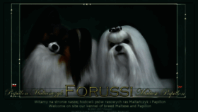 What Forussi.pl website looked like in 2017 (6 years ago)