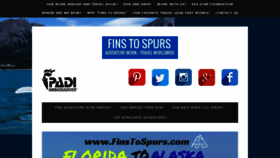 What Finstospurs.com website looked like in 2017 (6 years ago)