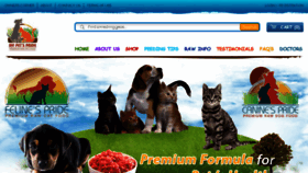 What Felinespride.com website looked like in 2017 (6 years ago)