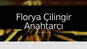 What Floryacilingir.com website looked like in 2017 (8 years ago)