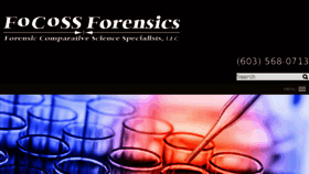 What Focossforensics.com website looked like in 2017 (6 years ago)