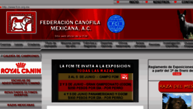What Fcm.org.mx website looked like in 2011 (12 years ago)