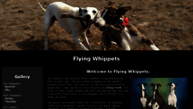 What Flyingwhippets.com website looked like in 2017 (6 years ago)