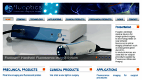 What Fluoptics.com website looked like in 2017 (6 years ago)