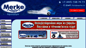 What Fishtechnics.ru website looked like in 2017 (6 years ago)