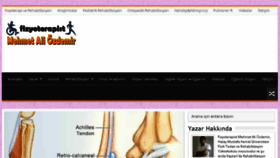 What Fizyoterapistozdemir.com website looked like in 2017 (6 years ago)