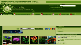 What Floral-city.ru website looked like in 2017 (6 years ago)