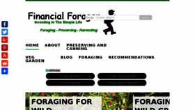 What Financialforager.com website looked like in 2017 (6 years ago)