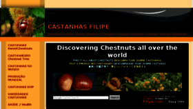 What Filipe.com website looked like in 2017 (6 years ago)