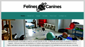 What Felinescanines.org website looked like in 2017 (6 years ago)