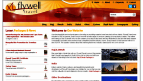 What Flywell.co.za website looked like in 2017 (6 years ago)