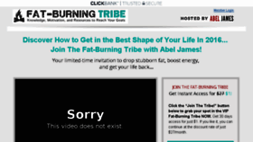What Fatburningtribe.com website looked like in 2017 (6 years ago)