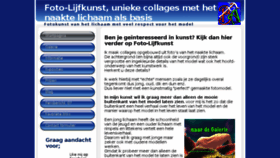 What Foto-lijfkunst.nl website looked like in 2017 (6 years ago)