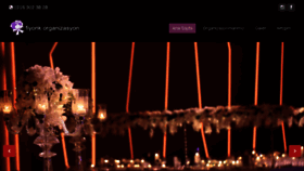 What Fiyonk.com.tr website looked like in 2017 (8 years ago)