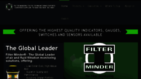 What Filterminder.com website looked like in 2017 (6 years ago)