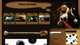 What Firstpets.ru website looked like in 2017 (6 years ago)