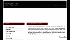 What Feyyazciftci.com.tr website looked like in 2017 (6 years ago)