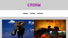 What Funny-elephant.ru website looked like in 2017 (6 years ago)