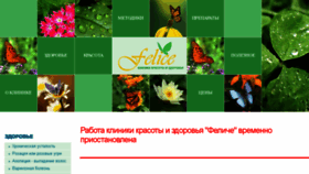 What Felice.ru website looked like in 2018 (6 years ago)