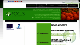 What Focus-balkans.org website looked like in 2018 (6 years ago)