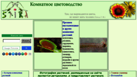 What Floriculture.ru website looked like in 2018 (5 years ago)