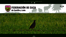 What Fedecazacyl.es website looked like in 2018 (6 years ago)