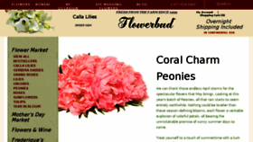 What Flowerbud.com website looked like in 2018 (5 years ago)