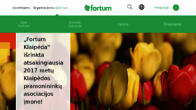 What Fortum.lt website looked like in 2018 (5 years ago)
