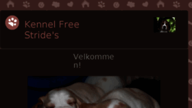 What Freestride.dk website looked like in 2018 (5 years ago)