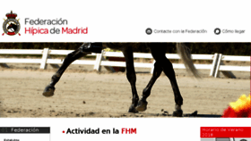 What Fhdm.es website looked like in 2018 (5 years ago)