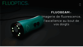 What Fluoptics.com website looked like in 2018 (5 years ago)