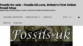 What Fossils-uk.com website looked like in 2018 (5 years ago)