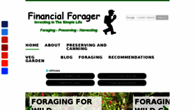 What Financialforager.com website looked like in 2018 (5 years ago)
